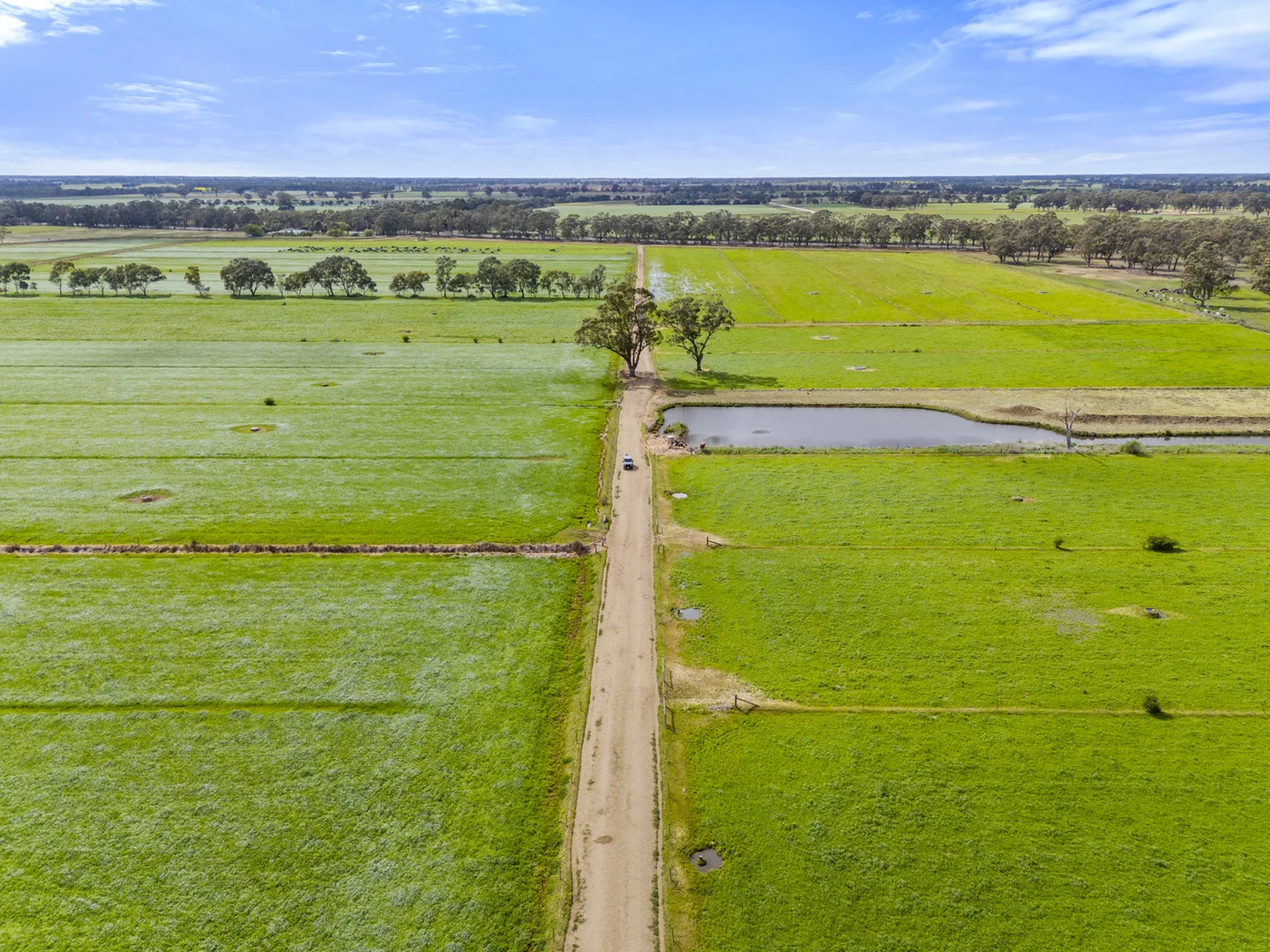 Additional image 14 of 2896 Murray Valley Highway, Yielima VIC 3638