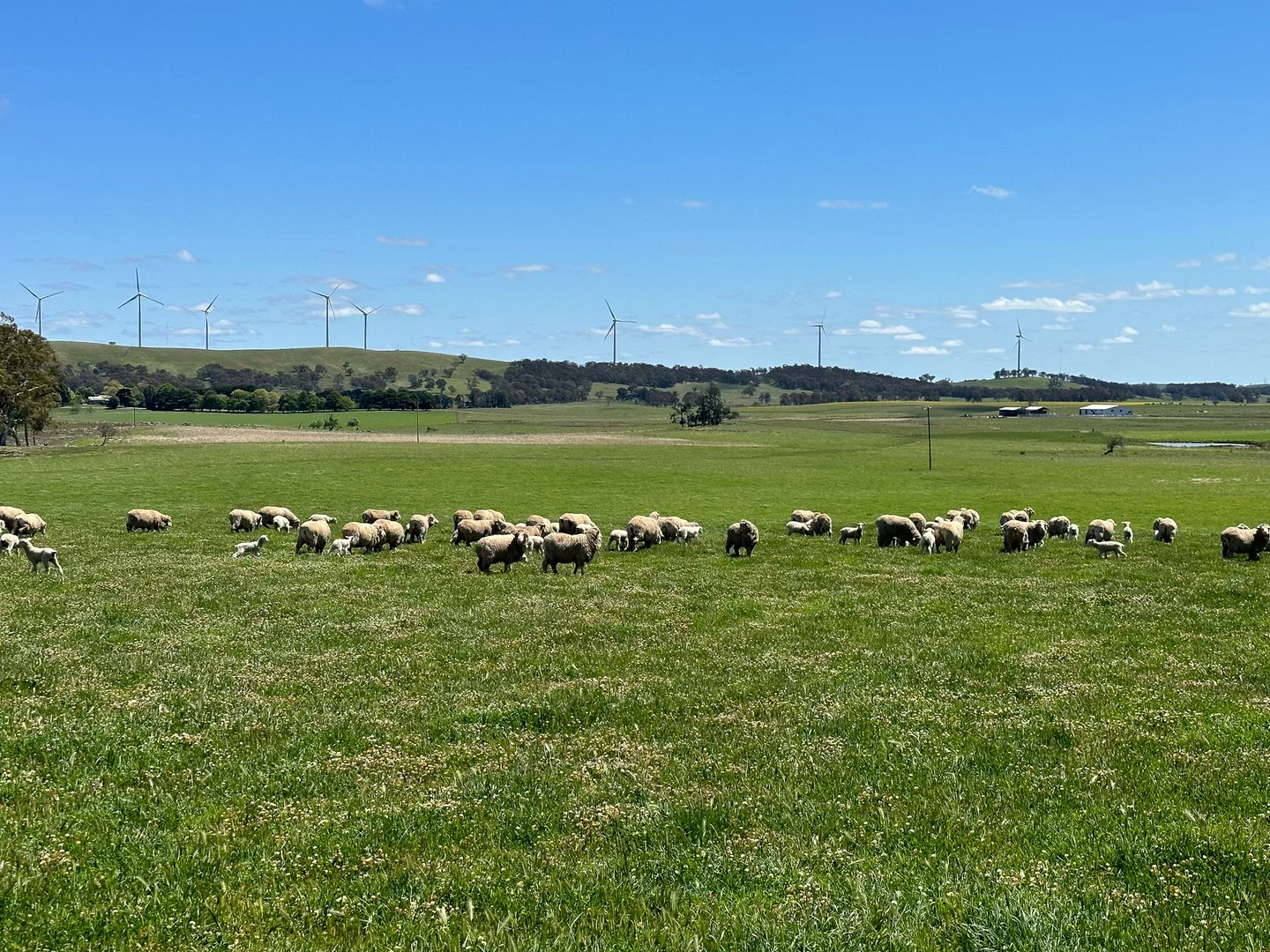 Gurrundah Road, Gunning NSW 2581