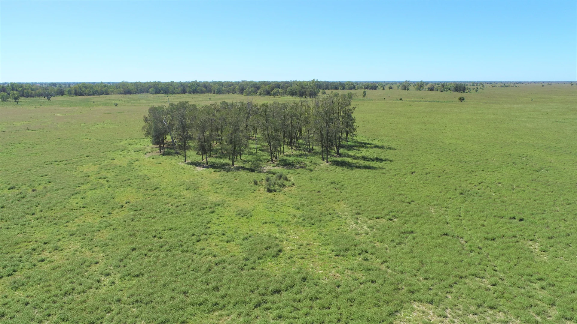 Additional image 28 of "Bonavista" 13724 Mitchell - St George road, Roma QLD 4455