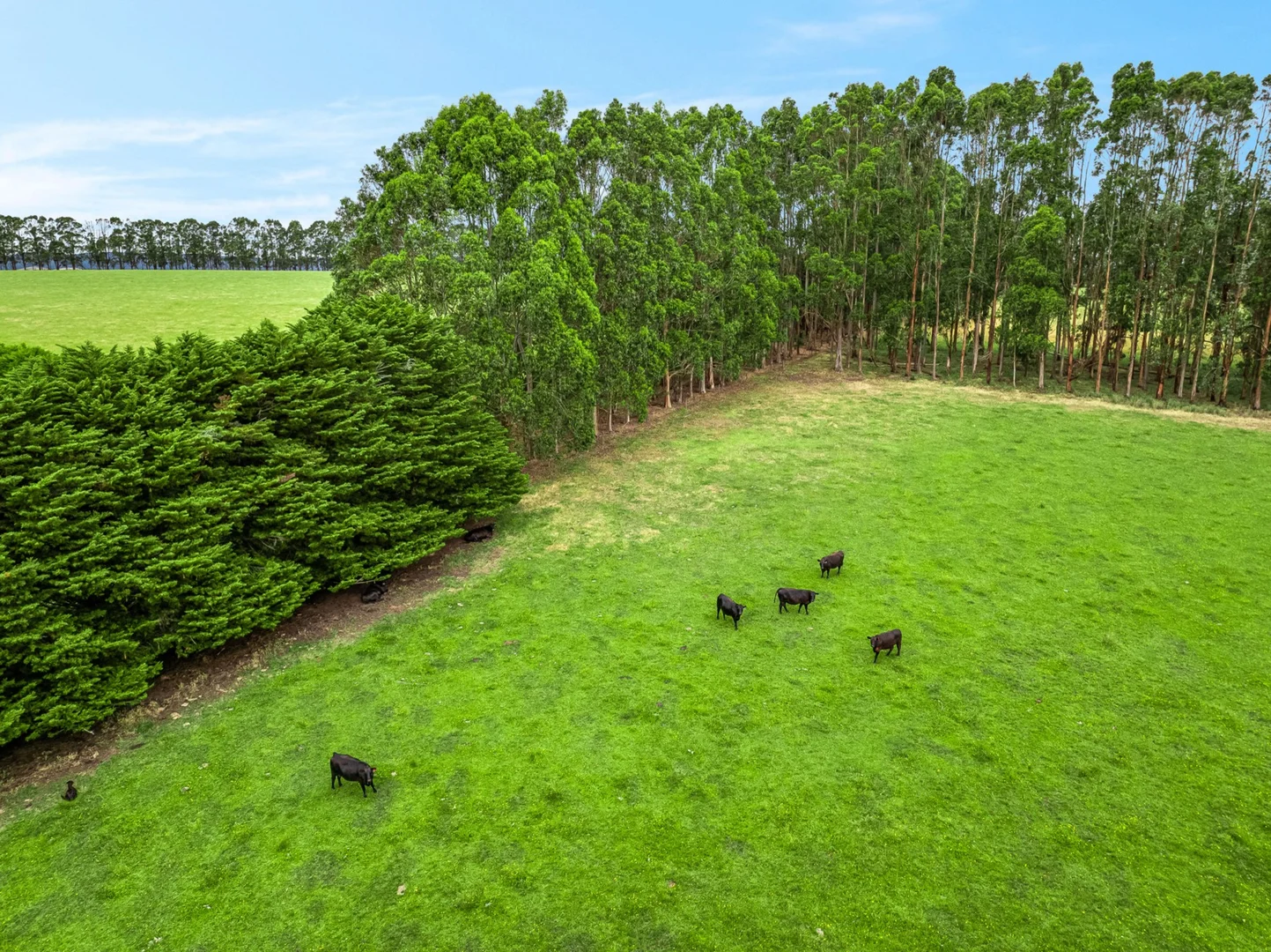 Additional image 5 of 385 Dewings Bridge Road, Gerangamete VIC 3249