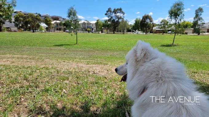 Additional image 15 of Officer VIC 3809