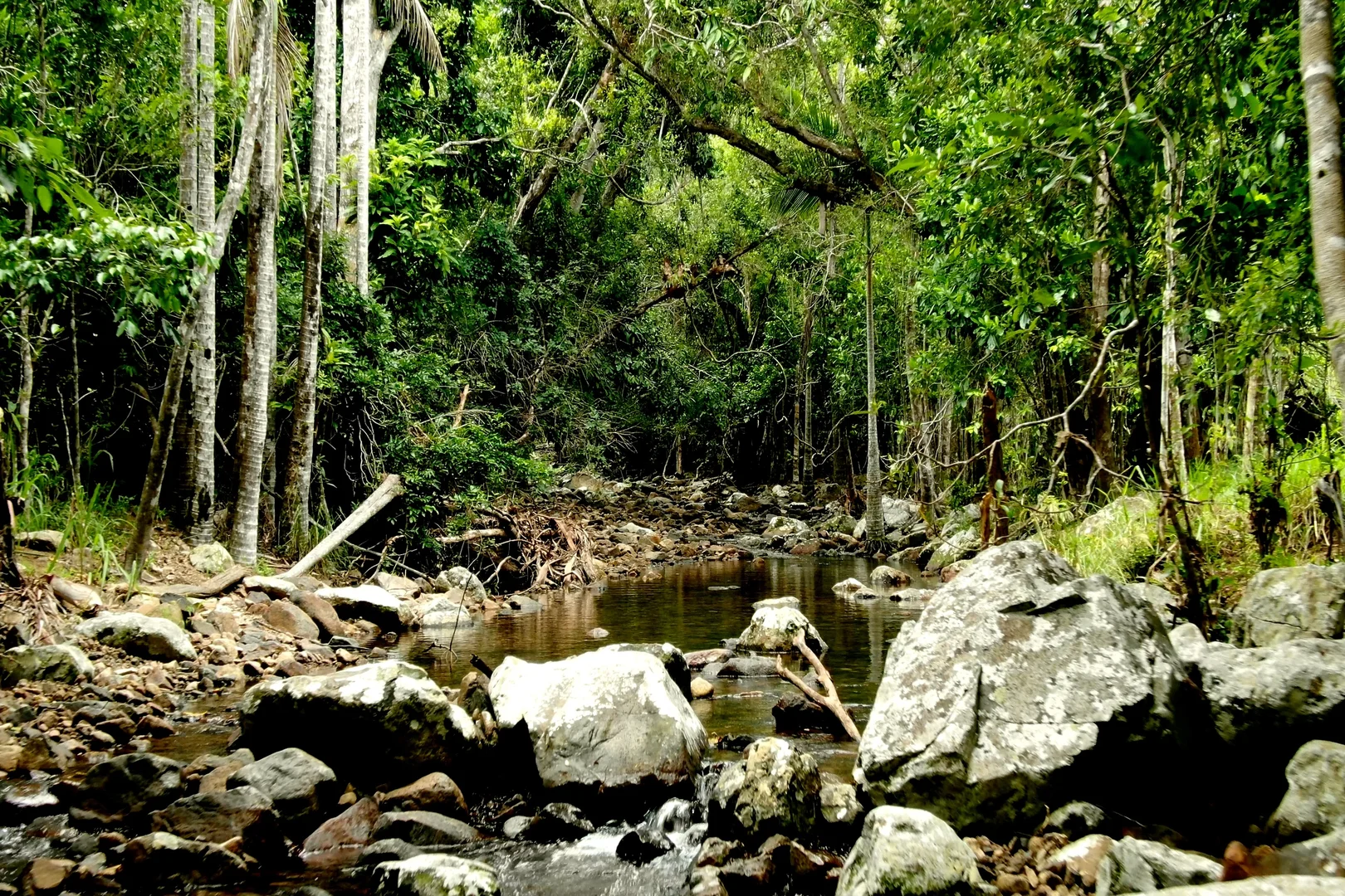 Additional image 12 of MARLOW Rifle Range Road Hidden Valley, Preston QLD 4800
