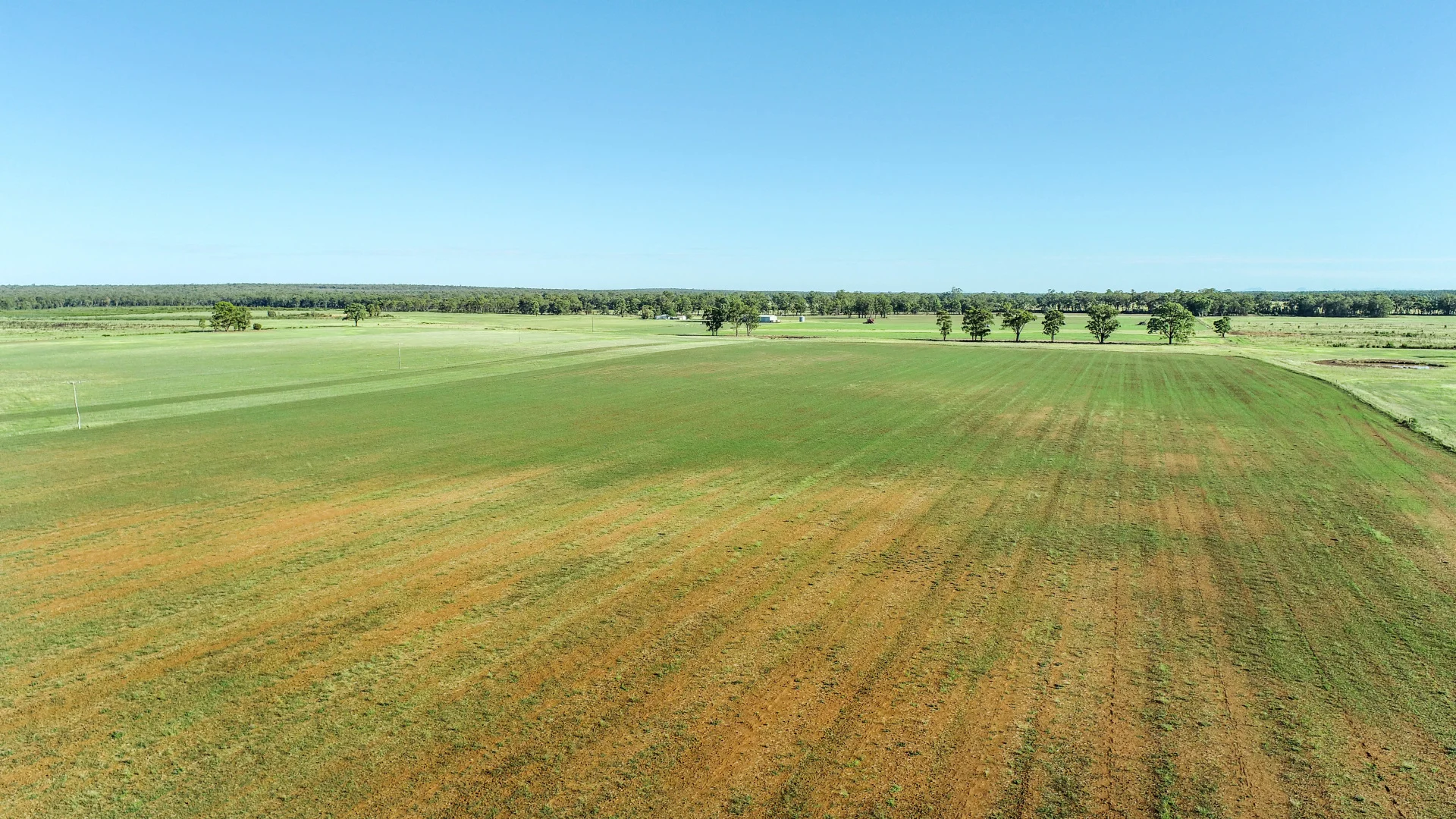 Additional image 10 of 150R Mogriguy Forest Road, Dubbo NSW 2830