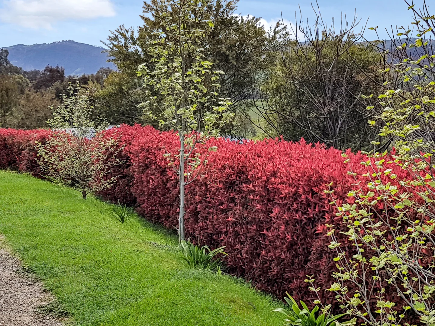 Additional image 8 of 4/54 Cloverdale Road, Tumut NSW 2720