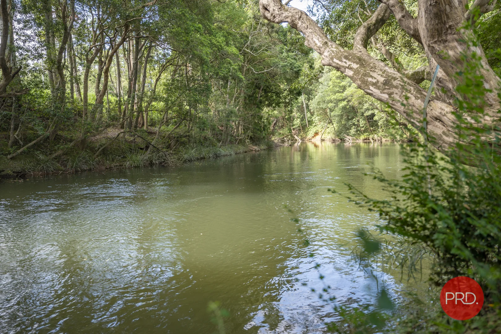 Additional image 28 of 441 Eastbank Road, Coramba NSW 2450