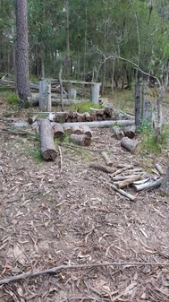 Additional image 15 of 328 Knights Creek Road, Murrah NSW 2546