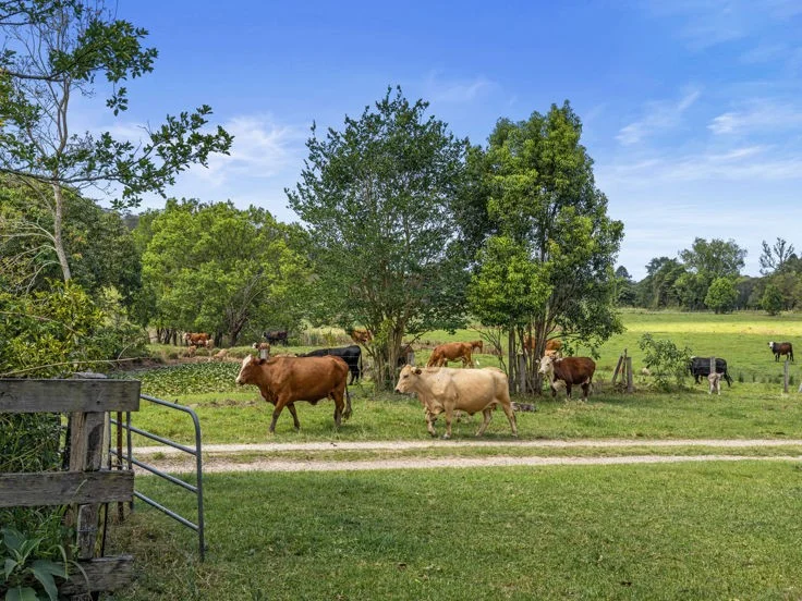 Additional image 18 of 198-220 Tyalgum Road, Murwillumbah NSW 2484