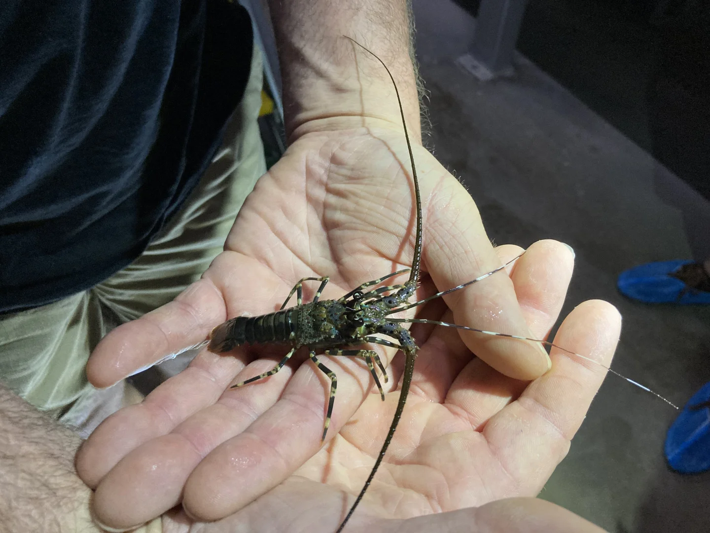 Additional image 42 of 43052 Bruce Highway, Clemant QLD 4816