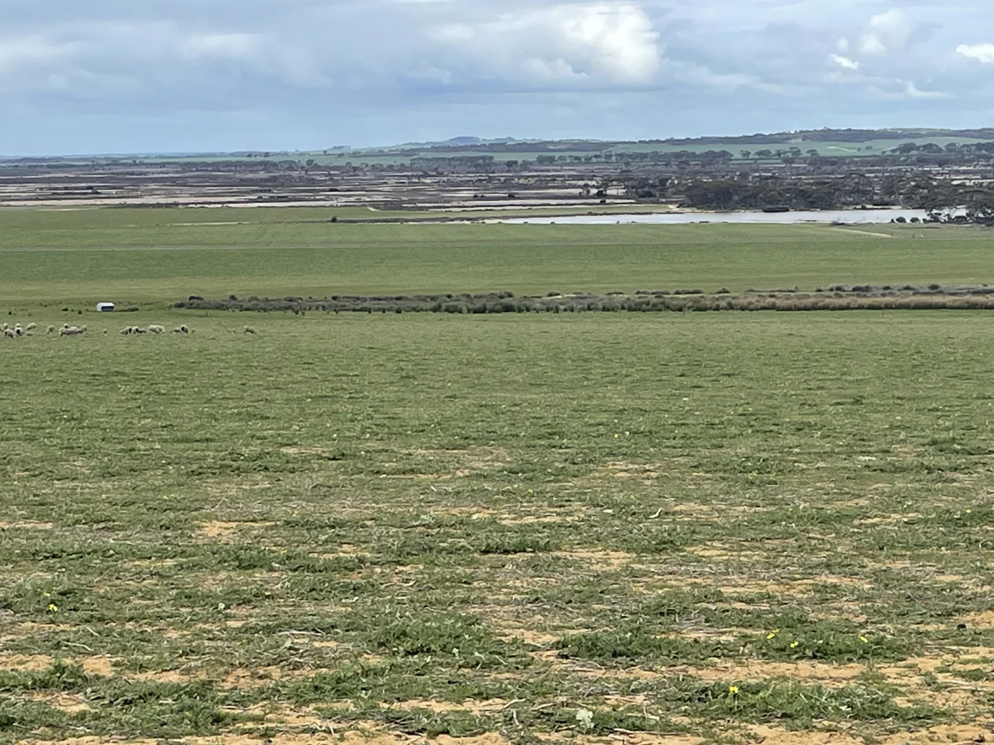 Additional image 9 of Quairading South Road, Dangin WA 6383