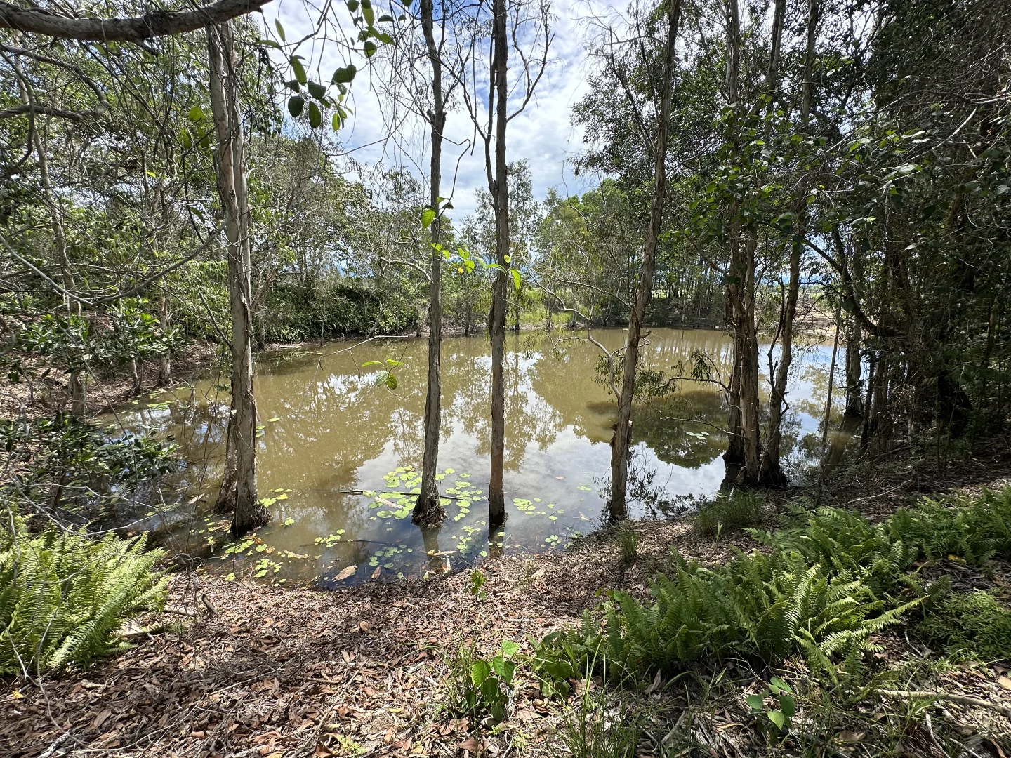 Additional image 21 of 680 Bluff Road, Bilyana QLD 4854