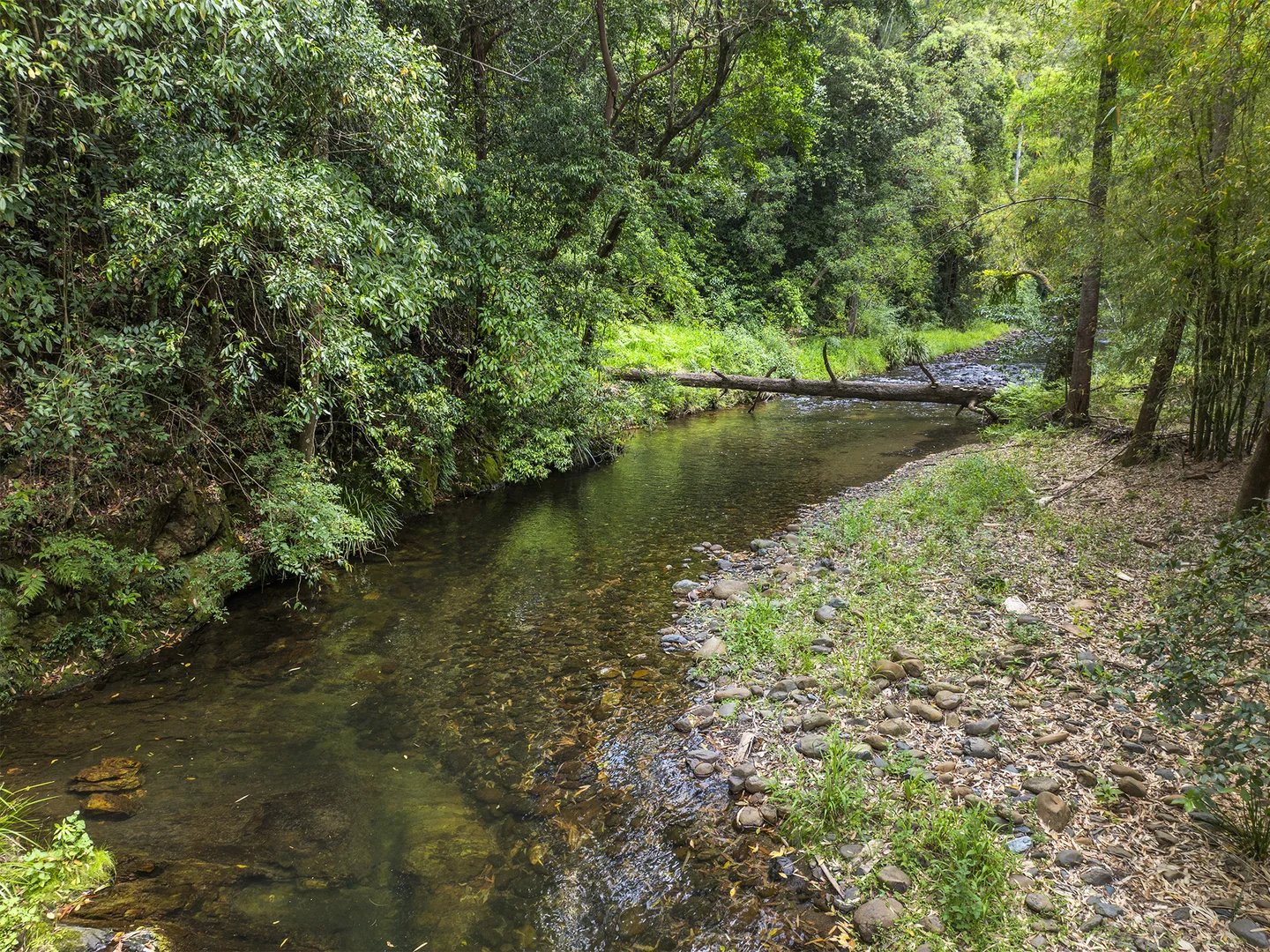 Additional image 22 of 1824 Darkwood Road, Darkwood NSW 2454