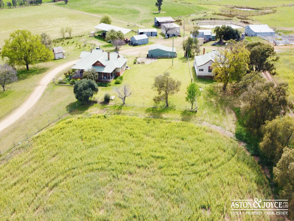 Additional image 30 of 3378 Mid Western Highway, Grenfell NSW 2810