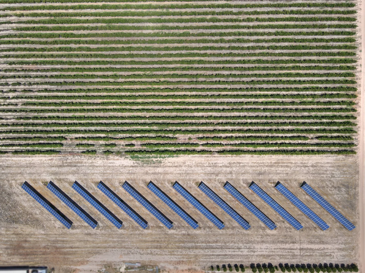 Additional image 4 of 32 Plushsbend Road, Renmark SA 5341