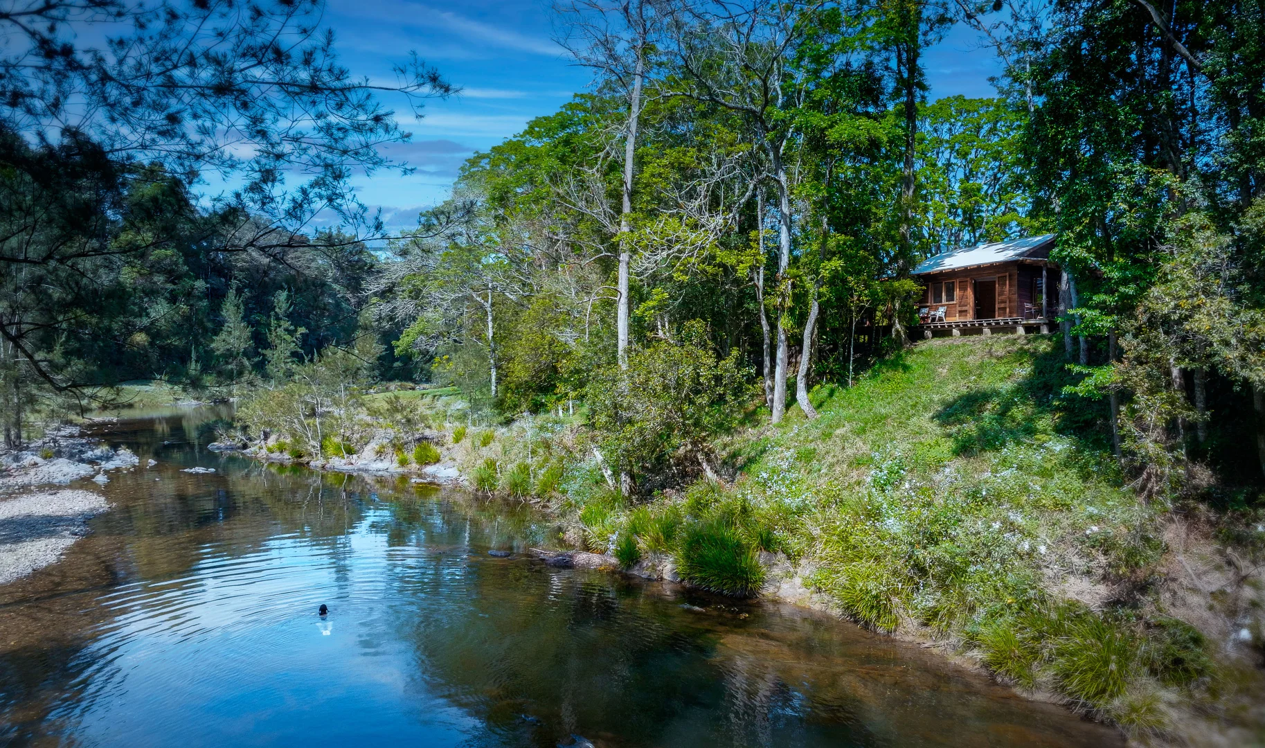 Additional image 12 of 1458 Darkwood Road, Bellingen NSW 2454