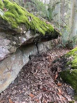 Additional image 15 of 52A Lilly Pilly Lane, Tapitallee NSW 2540