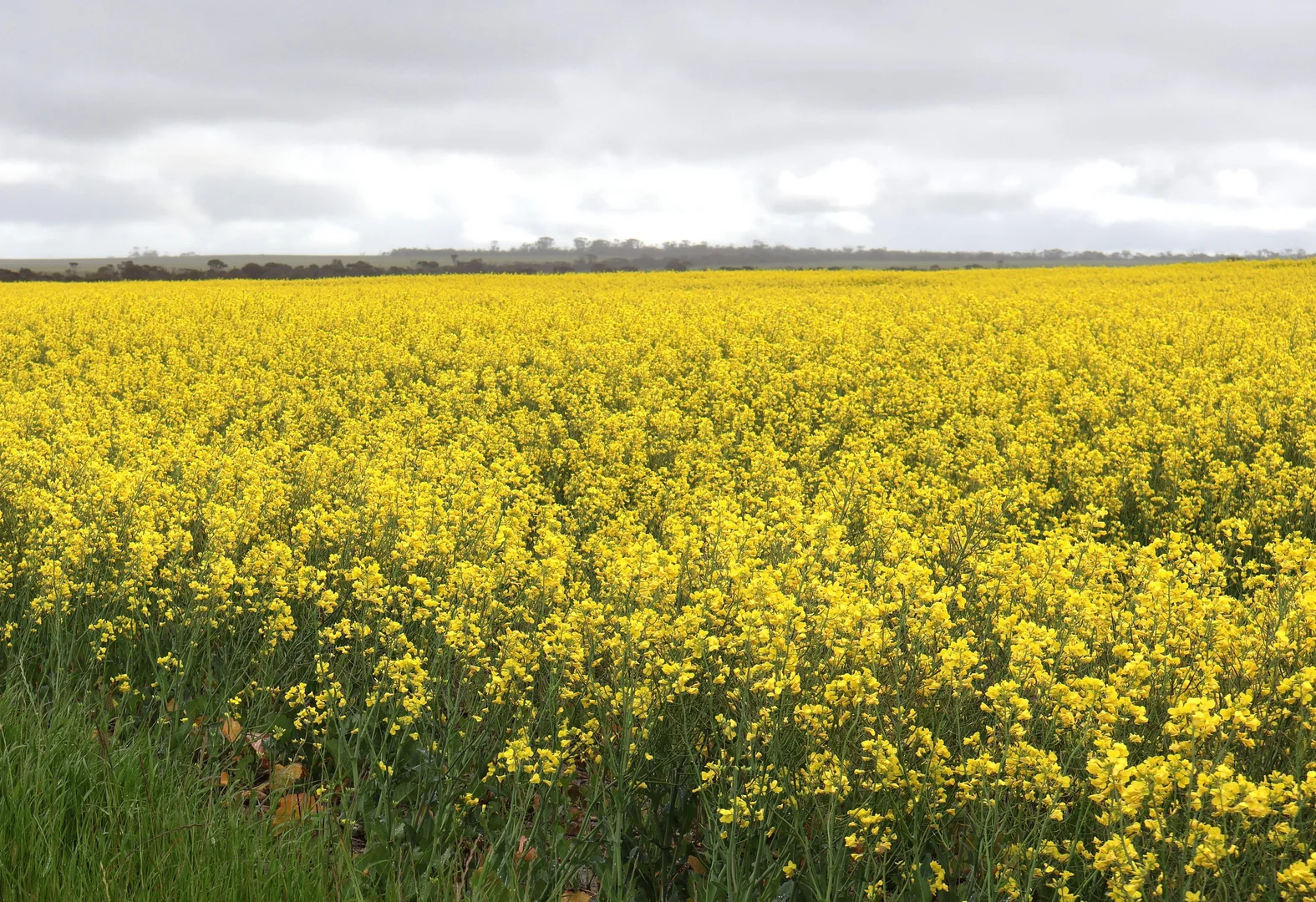 Additional image 38 of 31541 South Coast Highway, Jerramungup WA 6337