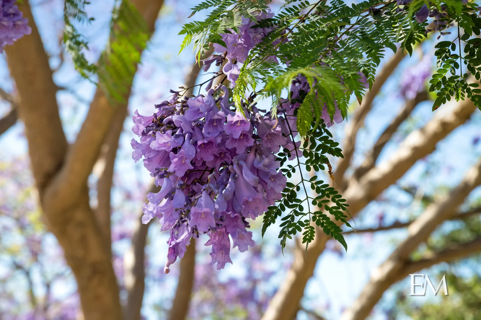 Additional image 8 of 4/18B Tweeddale Road, Applecross WA 6153