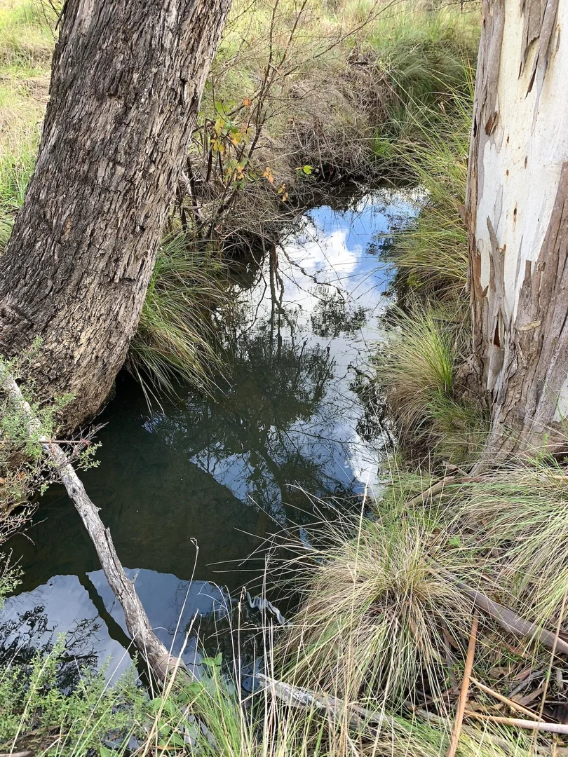 Additional image 5 of Hanging Rock NSW 2340