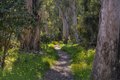 Additional image 7 of 7569 Newport Dr, Goleta, CA, 93117