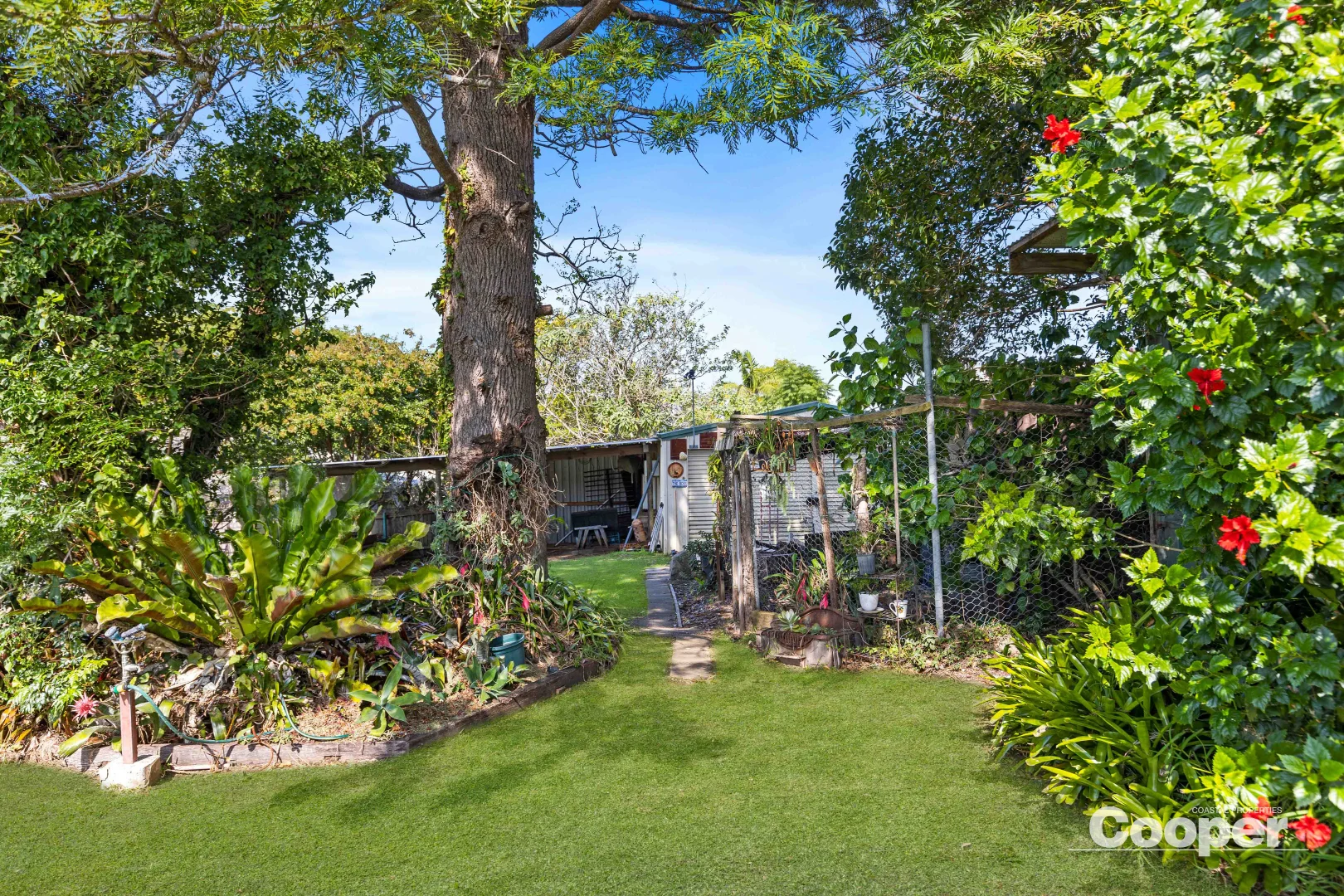 Additional image 6 of 26 Wolseley Street, Milton NSW 2538