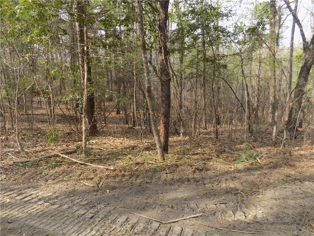 Additional image 15 of Lot 2 Macon County Road 24, Auburn, AL 36830