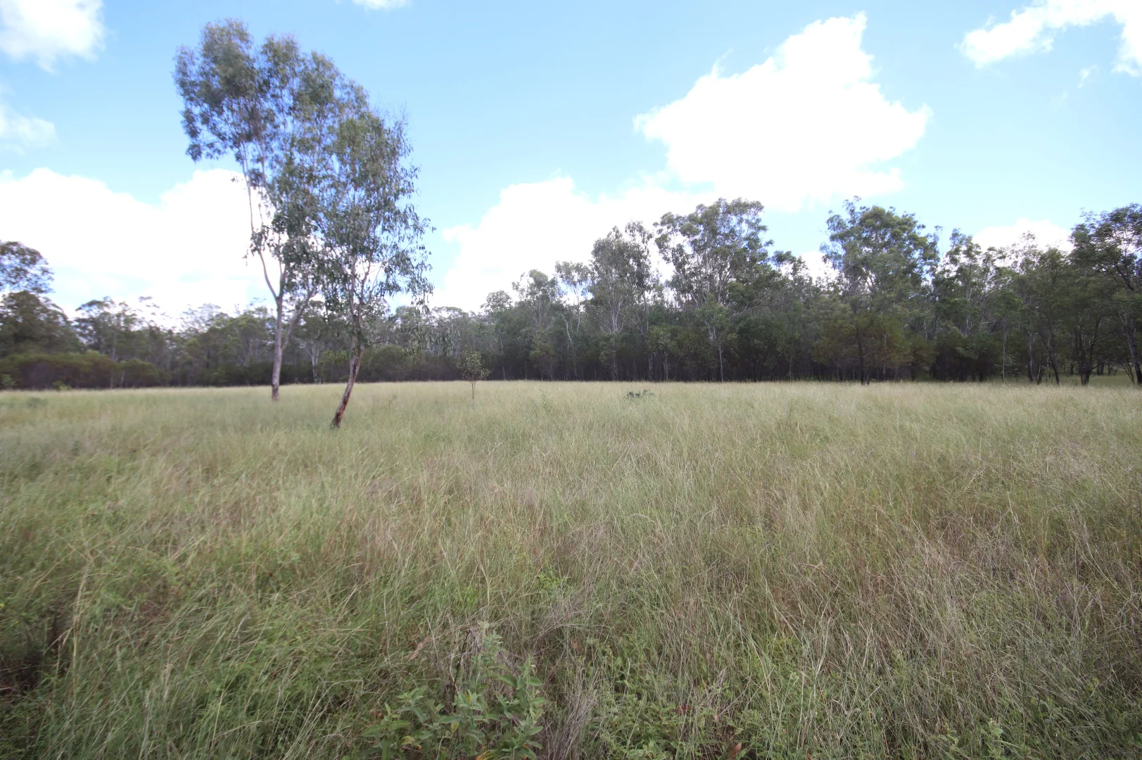 Additional image 5 of 'Greentree' Mundubbera-Durong Rd, Mundubbera QLD 4626