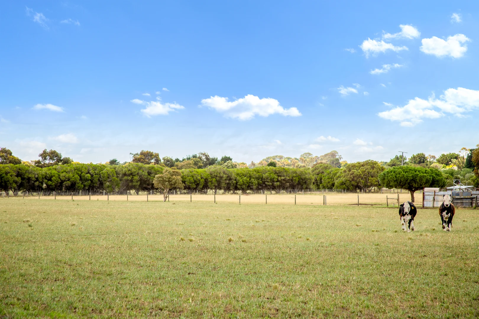 Additional image 6 of 140 Asher Road, Lovely Banks VIC 3213