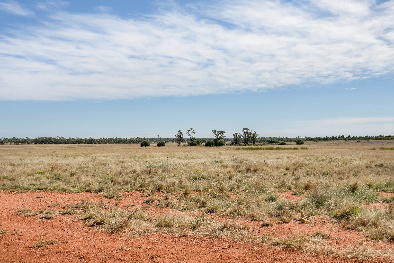 Additional image 25 of 4229 Bobadah Road, Bobadah NSW 2877