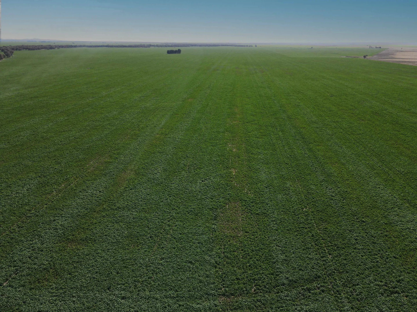 Additional image 9 of 'Williams Crossing' 139 Harris Lane, Quandialla NSW 2721