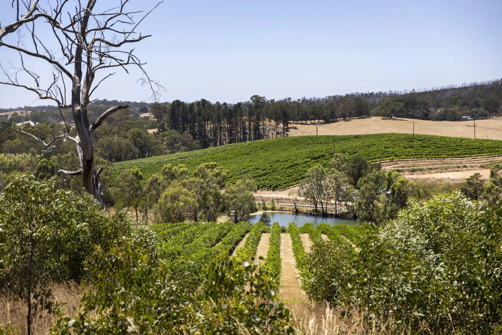 Additional image 8 of Lot 91 Kenton Valley Road, Kenton Valley SA 5233