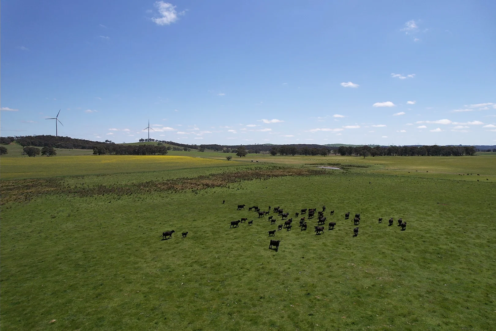 Additional image 12 of Gurrundah Road, Gunning NSW 2581