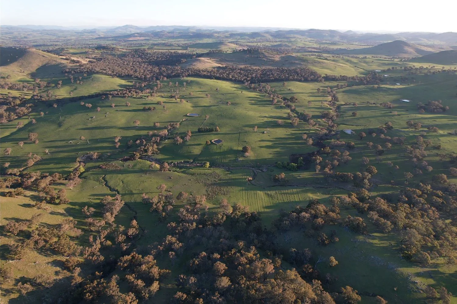 Additional image 3 of 0 Glengarry Road, Binalong NSW 2584