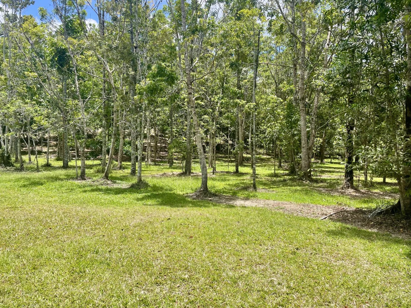 Additional image 4 of 2869 Mossman Daintree Road, Lower Daintree, Daintree QLD 4873