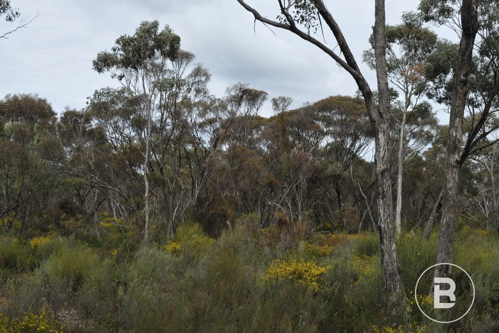 Additional image 6 of CA 127E McDonald Road, Llanelly VIC 3551