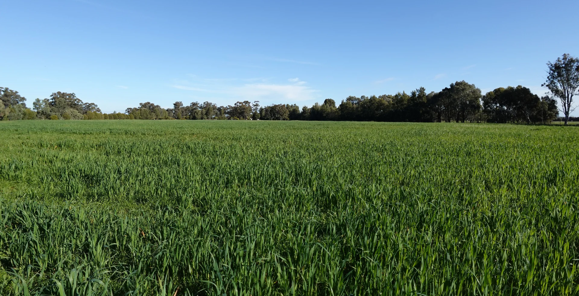 Additional image 15 of 140 Waggarandall Road, Yundool VIC 3727