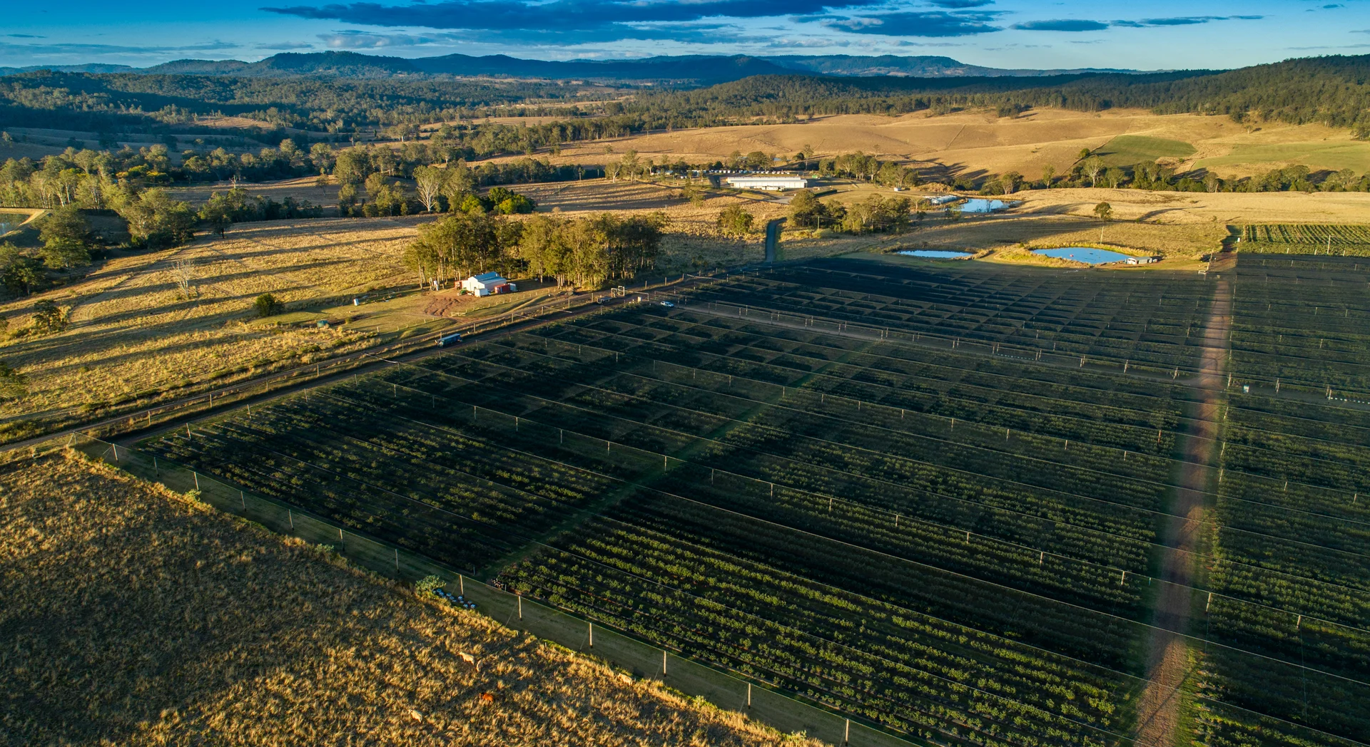 Additional image 2 of 991 Tabulam Road, Jacksons Flat NSW 2469