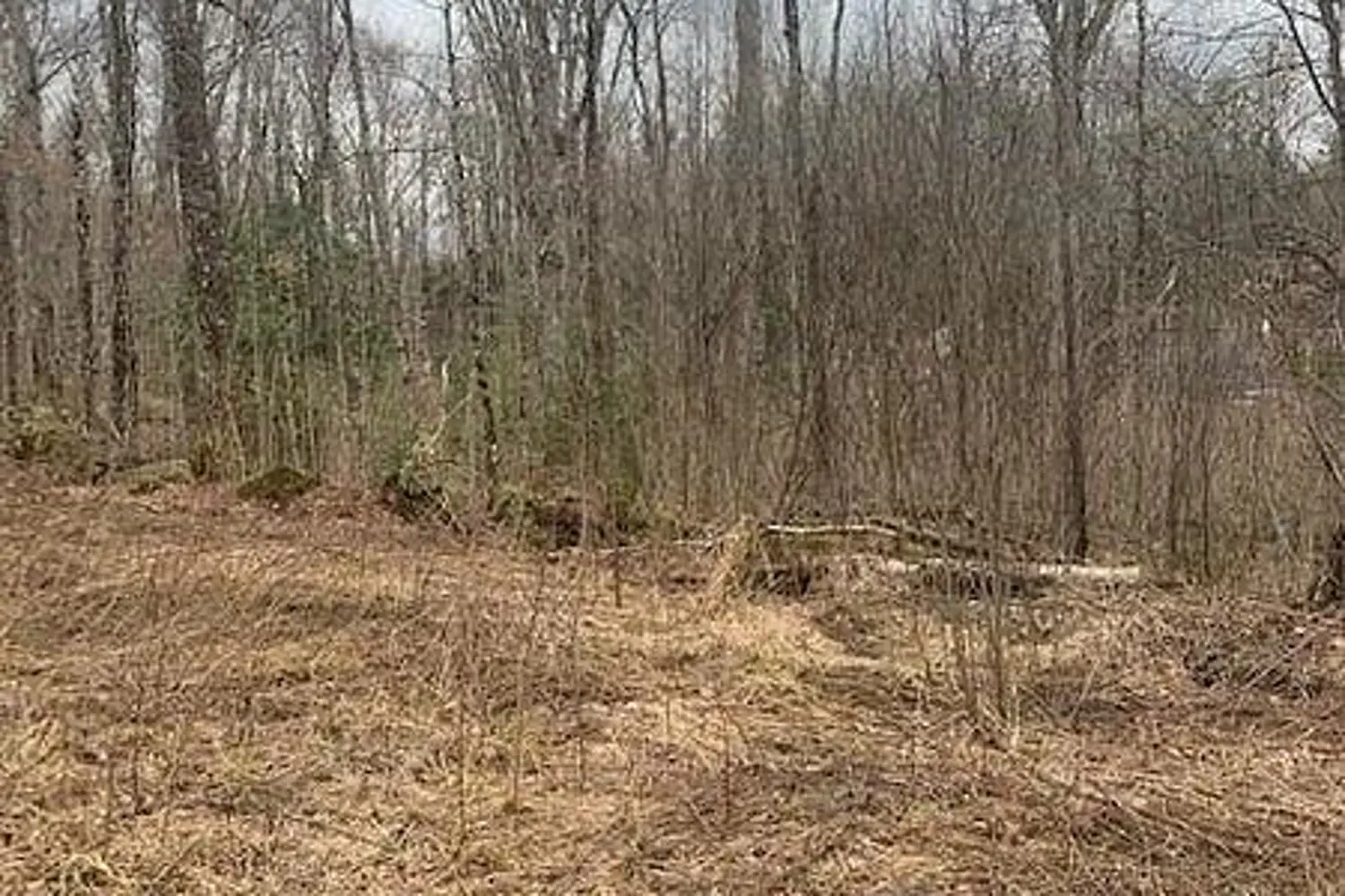 Additional image 7 of 1154 Delia Road