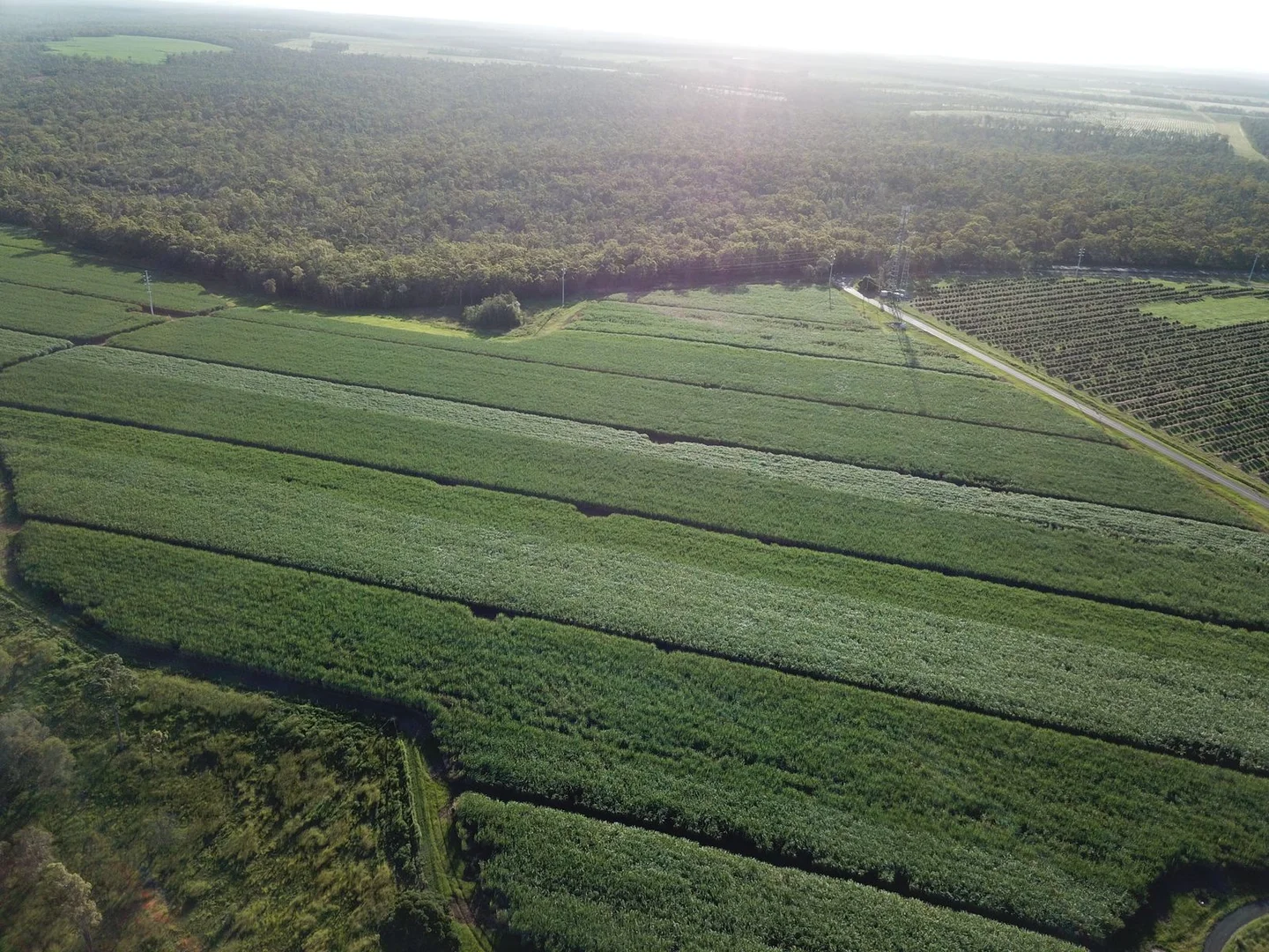 Additional image 12 of 84 Foleys Road, North Gregory QLD 4660