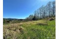 Additional image 10 of Elk Ridge Rd Lot 7, Mossyrock, WA, 98564