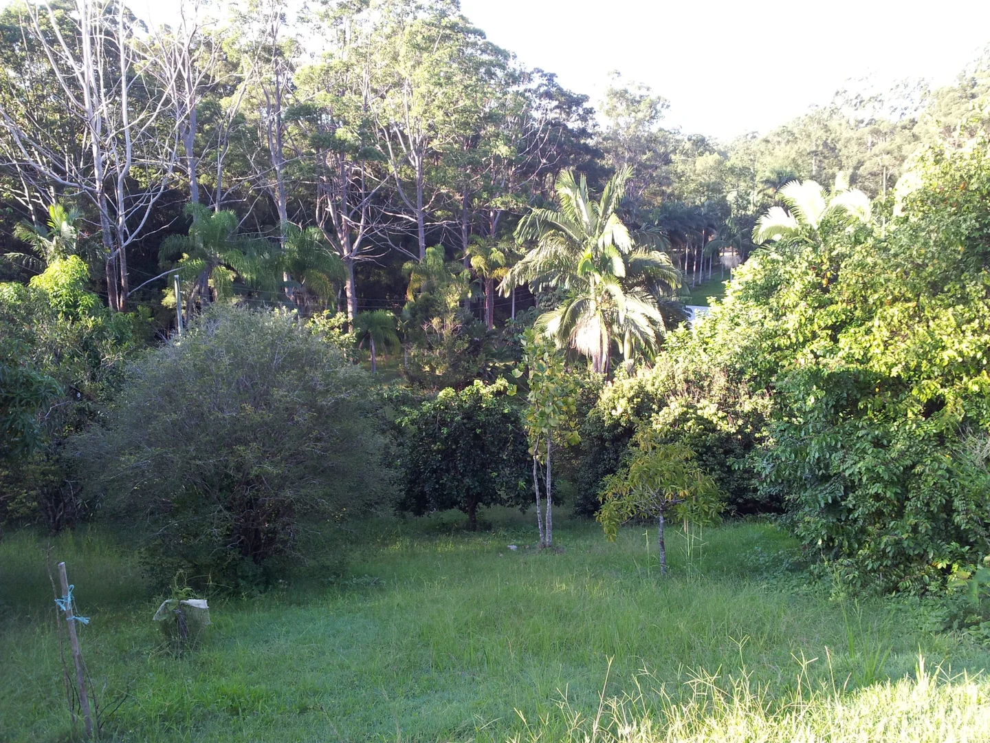 Additional image 24 of 74 Sudholz Road, Verrierdale QLD 4562