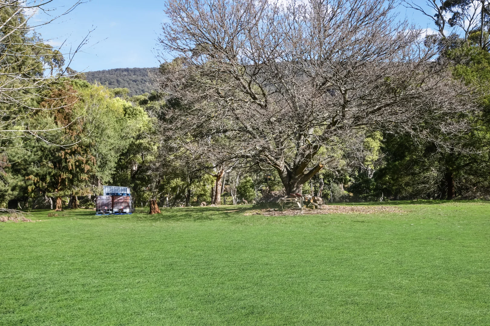 Additional image 4 of 32 Bundaleer Drive, Halls Gap VIC 3381