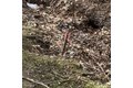 Additional image 12 of 1208 County Road 23 Unit 1, Phelps, NY, 14532