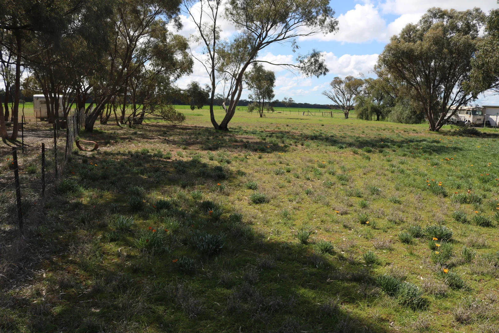 Additional image 5 of 21 Gunyah Flat Road, Charlton VIC 3525