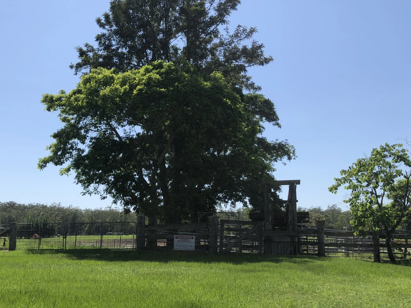 Additional image 26 of Woodford QLD 4514