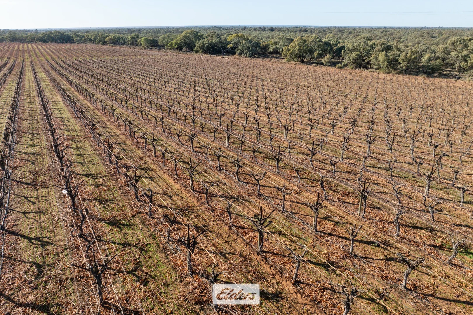 Additional image 5 of 178 Arumpo Road, Mourquong NSW 2739