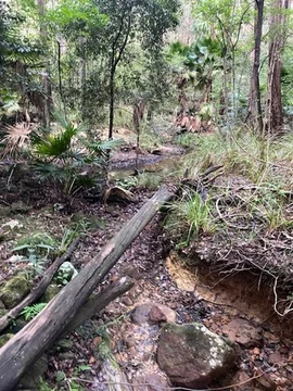 Additional image 14 of 52A Lilly Pilly Lane, Tapitallee NSW 2540