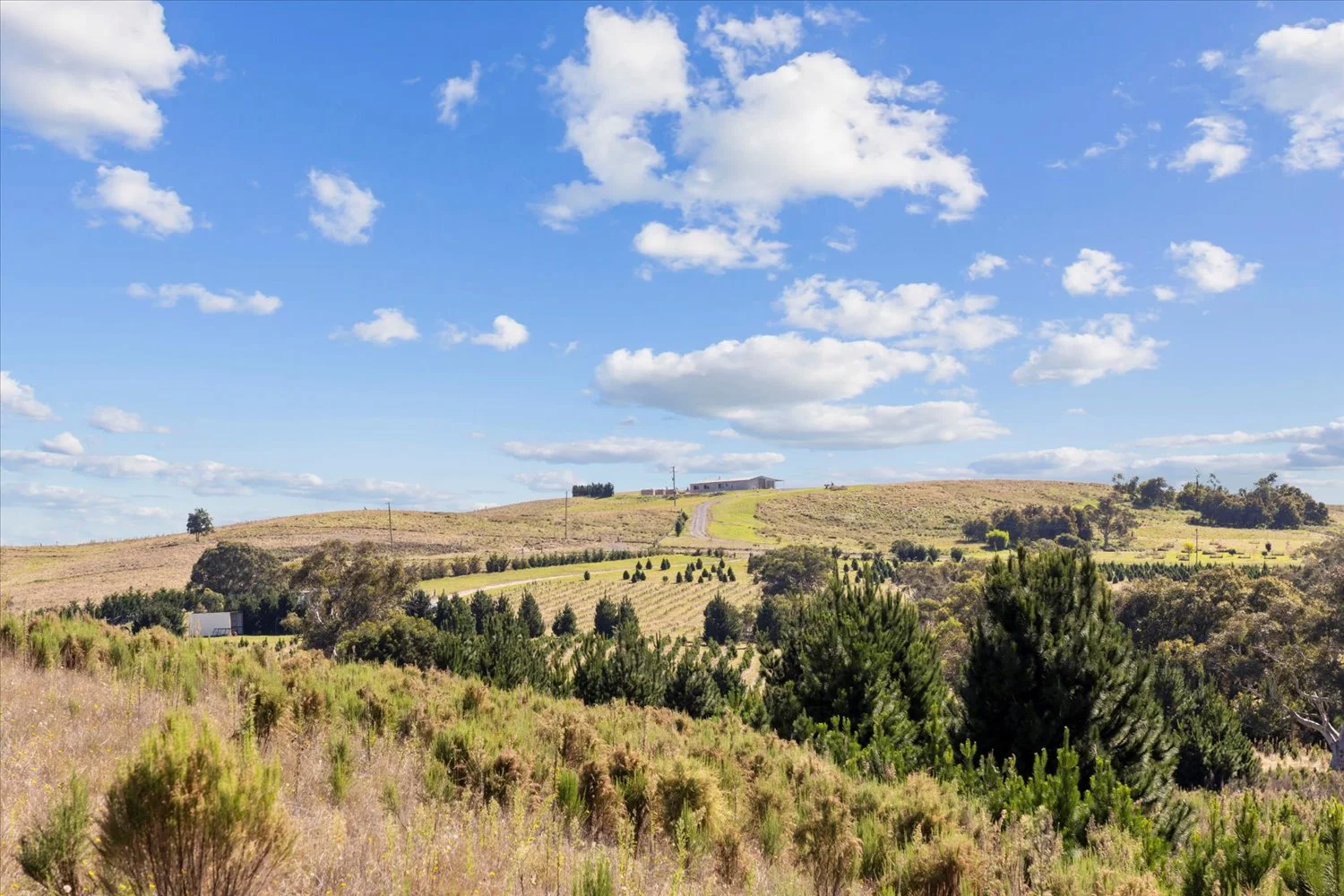 Additional image 18 of 134 Lakeview Road, Tarago NSW 2580