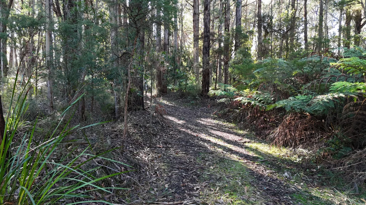 Additional image 3 of 318 Old Ocean Road, Glenaire VIC 3238