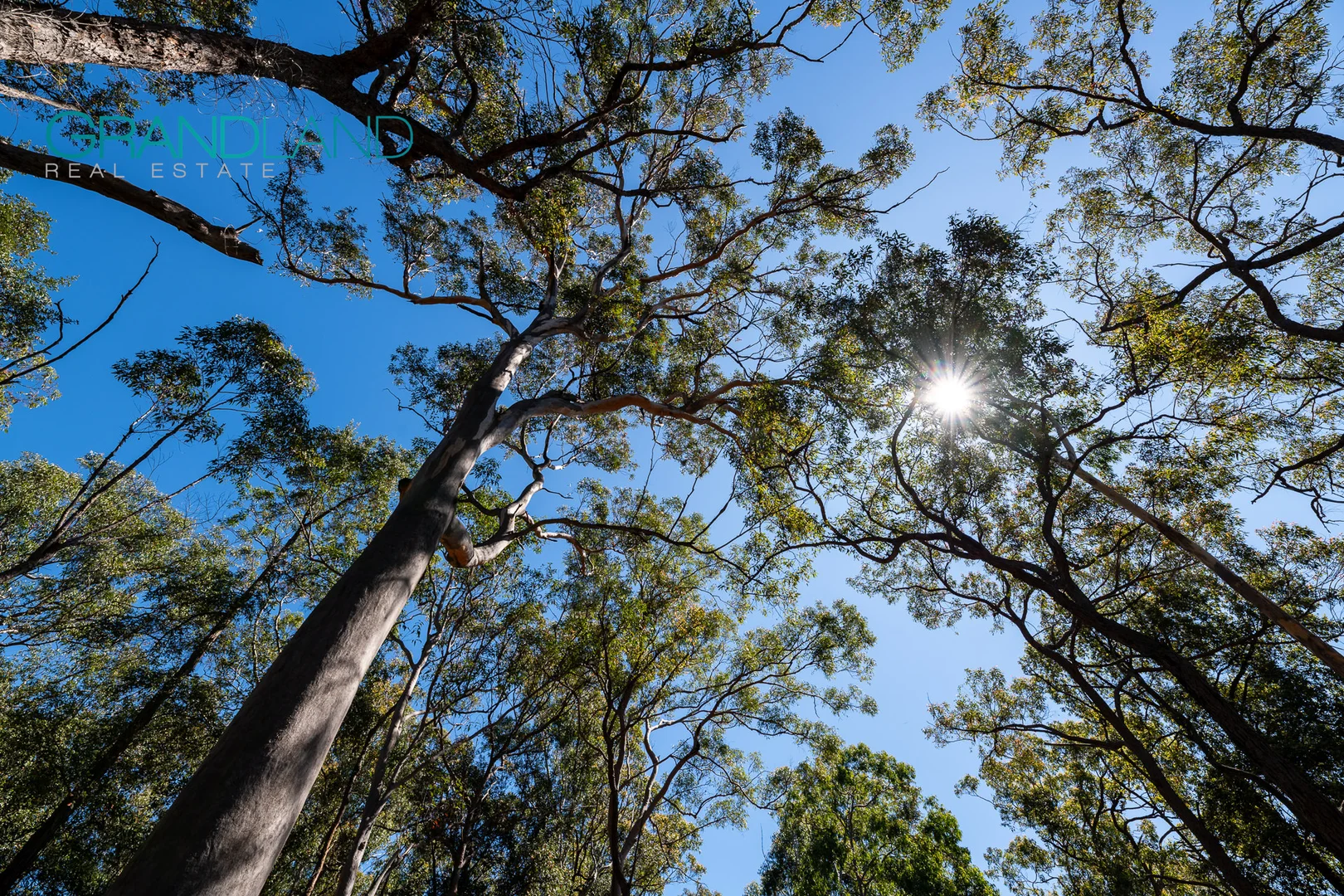 Additional image 6 of 123 News Road, Werombi NSW 2570