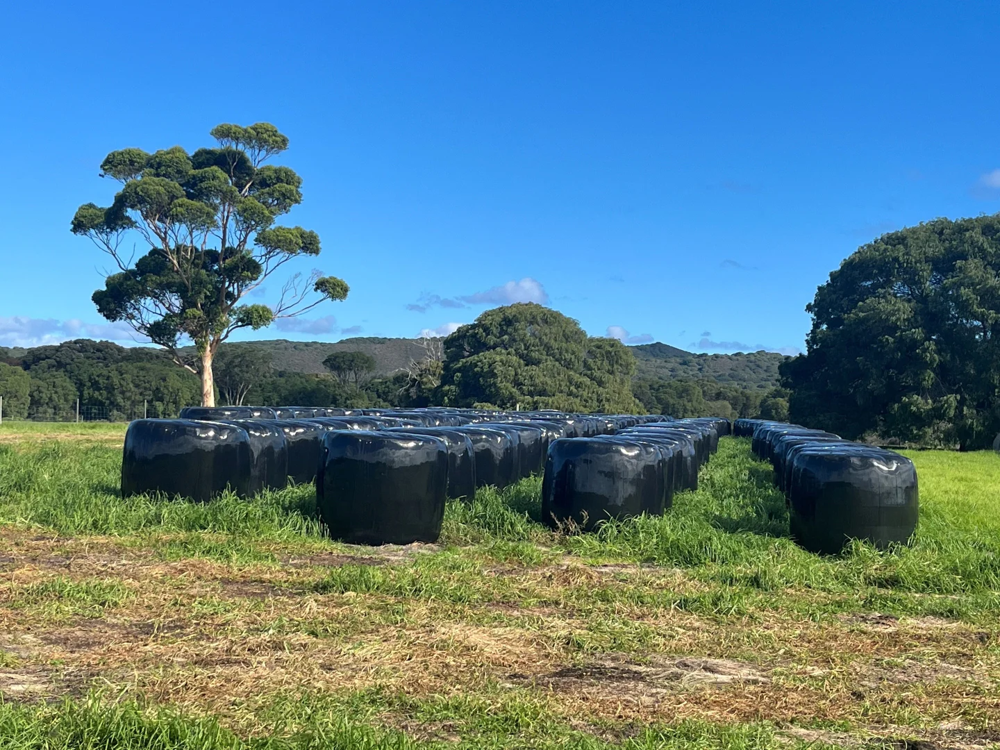 Additional image 13 of 181 Francis Road, Lowlands WA 6330